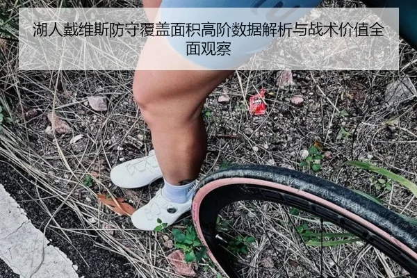 湖人戴维斯防守覆盖面积高阶数据解析与战术价值全面观察